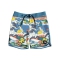 QUIKSILVER BOARDSHORTS RAGAZZO HIGHLINE FEELIN FINE 15" 8-16 ANNI